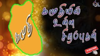 கமுதி | KAMUTHI