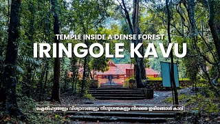 Iringole Kavu | ഐതിഹ്യങ്ങളും വിശ്വാസങ്ങളും നിഗൂഢതകളും നിറഞ്ഞ കാവ് | Perumbavoor | Kerala