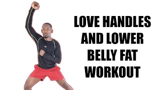 20 Minute Lower Belly Fat and Love Handles Burner Workout No Jumping