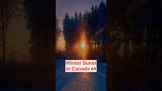 Winter Sunset 🌅 In Canada 🇨🇦 #lifeincanada #canadasnow #snow