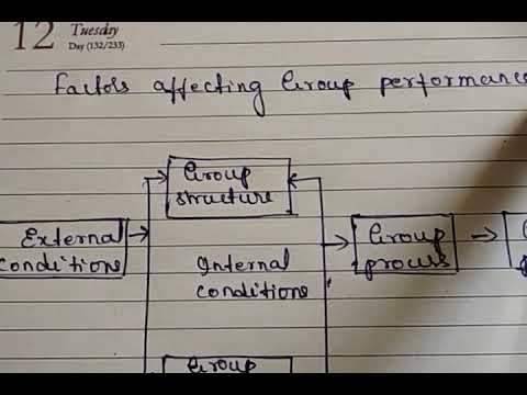 What factors affect group performance?