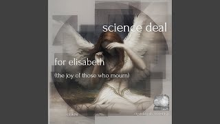 For Elisabeth (The Joy Of Those Who Mourn) (Original Mix)