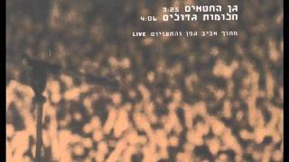 אביב גפן - גן החטאים - Aviv Geffen - Live