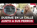 Lince: mujer es desalojada de su casa junto a sus tres perritos