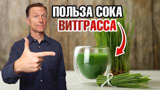 Сок витграсса в порошке: все циклы производства🔥