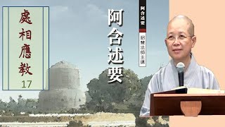 雜阿含經-處相應教17 昭慧法師主講 2010年阿含述要講座37