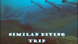 【JackJackTravel】世界十大潛點巧遇野生鯨鯊!!!泰國斯米蘭群島船宿潛旅│Similan Diving Liveaboard│20200308-15│1080HD