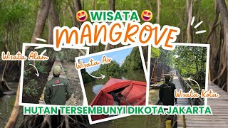 HUTAN TERSEMBUNYI di Jakarta😱⁉️ Konservasi dan Edukasi Alam 🌱 Explore Mangrove PIK