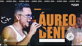 ÁUREO DENI | CD DEZEMBRO 2024 ( MÚSICAS NOVAS ) REPERTÓRIO NOVO - MUNDO DA MUSICA