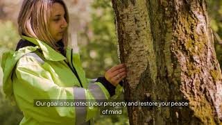 Emergency Tree Services Marana AZ   Wildcat Tree Service