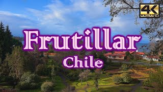 Turismo en FRUTILLAR – CHILE ¿Qué visitar? [4K]