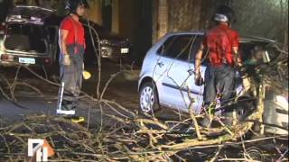 Vendaval provoca prejuízos e estragos em Londrina