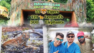 Parambikulam Tiger Reserve:Wild Wonders! Sasi's Travel Vibes #youtube #trending #travel #viralvideo