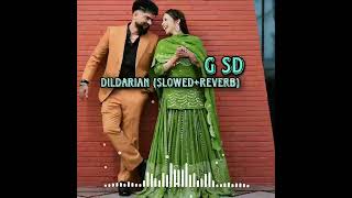 Dildarian - Amrinder Gill (gsd Lofi slowed+reverb)|Old punjabi song| Aprail fool Sapical |Enjoy!!!