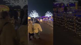 芝生広場 東京メガイルミ（大井競馬場）2024-2025 冬季限定イルミネーションイベント #christmas #illumination