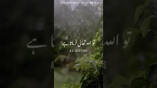 Heart Touching Lines by Molana Tariq Jameel Sahab | full screen status short clips | A.K Creations