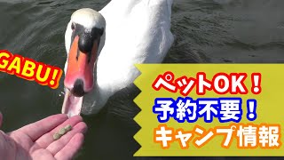 ペットOK！大人気の志高湖キャンプ場の最新情報を管理人さんに聞いてきた