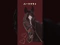 思わず見とれてしまう美形な馬1 ゴールドシップ 競馬 ゴルシ メロディーレーン horse