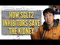 How SGLT2 Inhibitors Protect The Kidney