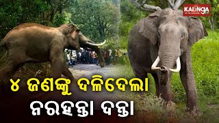 Jumbo Terror: Elephant Tramples Four To Death In Angul District || KalingaTV