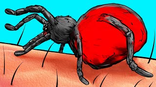 ¿Qué le pasa a tu cuerpo cuando te pica una araña?