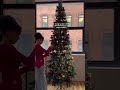 decorating my christmas tree. christmas christmasdecor christmastree