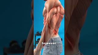 HOLa3kKCVXQ