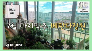 [엄마의 베란다정원 🌱#23] 부작 하기, 석부작, 목부작, 헤고부작, 7월 마지막주 베란다정원 /Mom’s balcony garden