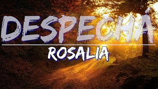 ROSALÍA - DESPECHÁ (Clean) (Letra / Lyrics) - Audio, 4k Video