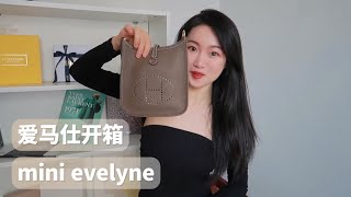 爱马仕mini evelyne开箱｜一分钟丝带改造新背法｜波普骏马twilly｜爱马仕配货