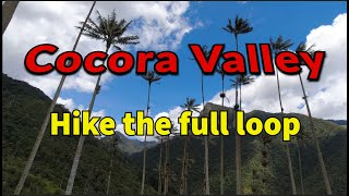 Hike the Cocora valley loop. Colombia (4) #cocoravalley #salento #colombia