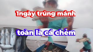 Lâu lâu mới có 1ngày trúng mánh - toàn là cá chẻm -cuộc sống mưu sinh dân biển #vantruongbienhoguitv