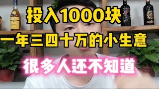 投入1000块，一年三四十万的小生意，很多人还不知道