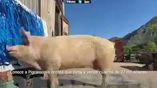 Conoce a Pigcasso, la cerdita que pinta y vende cuadros de 27 mil dólares