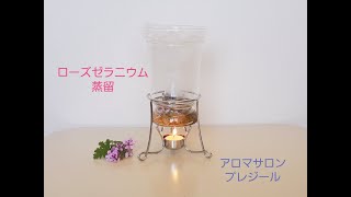 ローズゼラニウム蒸留①～準備から蒸留～