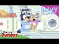 Hide and Seek ⏰ | Bluey 💙 |  Disney Junior Arabia