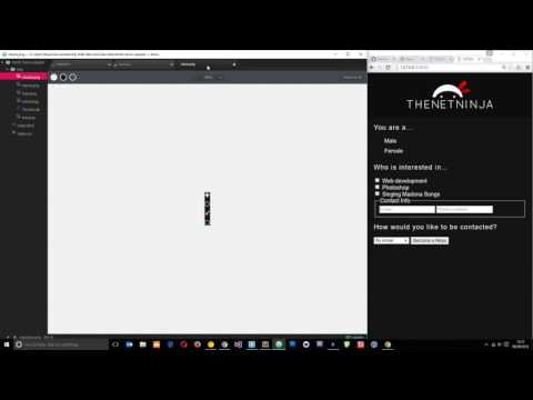 Styling HTML 5 Forms #2 - Styling Radio Buttons Styling HTML 5 Forms #2 - Styling Radio Buttons