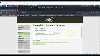 Exploit Vulnerable Web Applications Using Command Injection