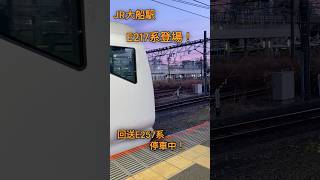 村田屋です♪年末に大船駅に寄道した時に！217系偶然👍乗車出来る機会はあるのか#大船駅#JR東日本#E257#E217系#通過#鉄道旅#日本の鉄道#Japan train#Japan travel