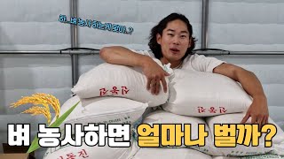 [2024년]1200평 벼 농사 수익 공개...이거 계속 하는게 맞을까?