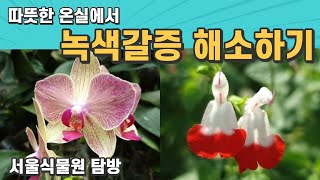 따뜻한 온실 속에서 녹색갈증 해소하기 - 서울식물원