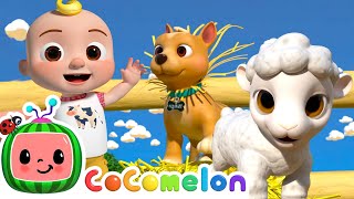 Ol' MacDonald with Cute Baby Animals! | CoComelon Furry Friends | Animals for Kids