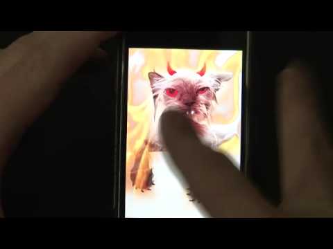 Angrycat For Iphone Review Youtube