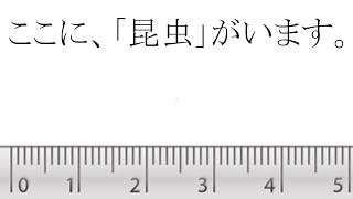 【ゆっくり解説】#21 世界一小さな昆虫、知ってる？(PC視聴推奨)