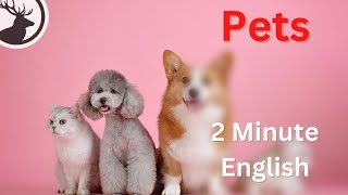 How to Talk About Pets - 2 Minute English Mini Podcast