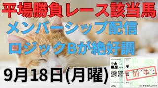 【競馬予想】９月１８日（月曜）平場勝負レース該当馬３レース！調教内容から狙える新馬戦（阪神４レース）