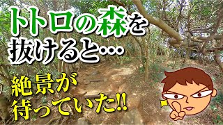 【糸島市】トトロの森を抜けた先には絶景が広がっていた！！