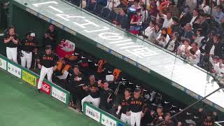 完全試合中のタイガースから岡本和真がホームラン打った時の巨人ベンチ 小林誠司や坂本勇人が大喜び2023年4月12日  読売ジャイアンツ対 阪神タイガース