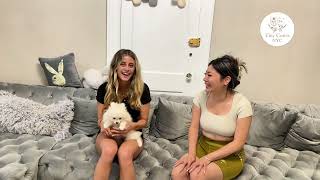 The prettiest puppy family💕 Norissa Valdez, Diggie & Bessie (teacup Poodle & Pomeranian)