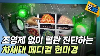 [핫클립] 약물 조영이 필요없는 현미경 / YTN 사이언스